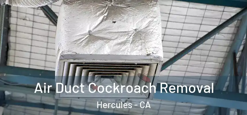  Air Duct Cockroach Removal Hercules - CA