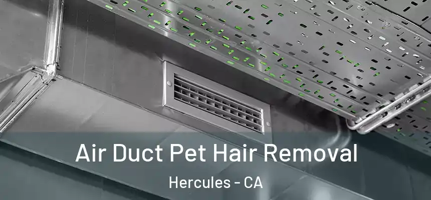  Air Duct Pet Hair Removal Hercules - CA
