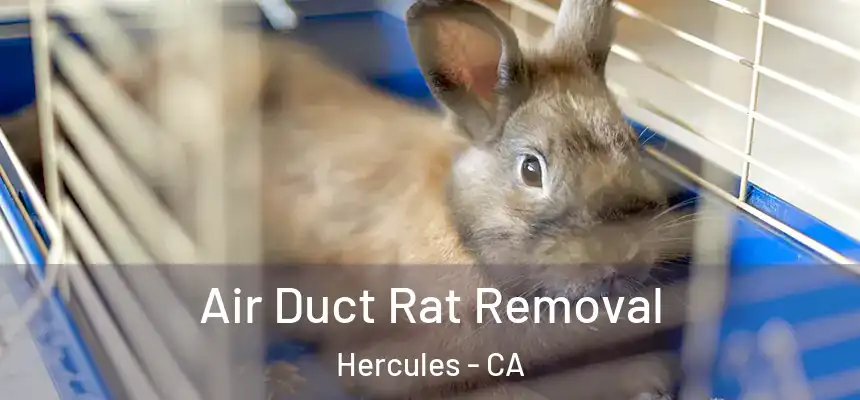 Air Duct Rat Removal Hercules - CA