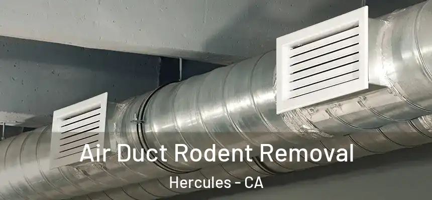  Air Duct Rodent Removal Hercules - CA