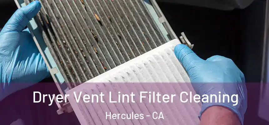 Dryer Vent Lint Filter Cleaning Hercules - CA