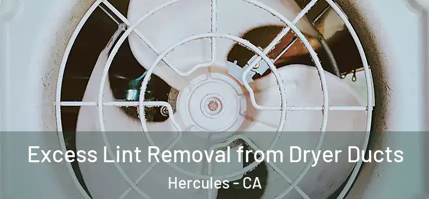 Excess Lint Removal from Dryer Ducts Hercules - CA