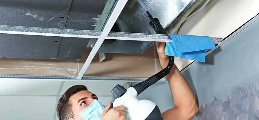 Our Air Duct Rodent Removal Services in Hercules, CA