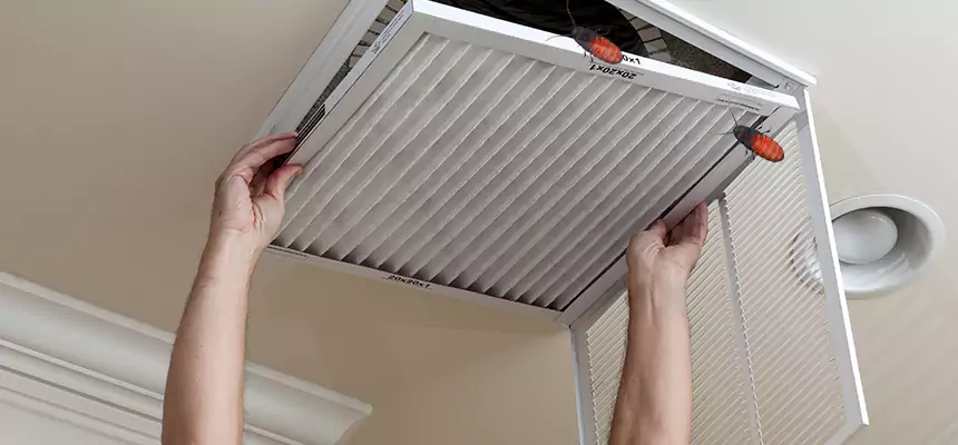 Our Insect Removal from Air Ducts Services in Hercules, CA