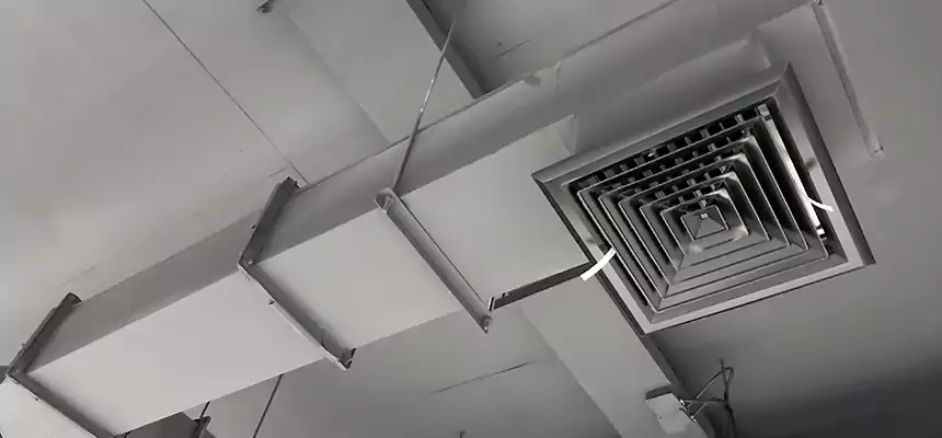 Our Rodent Droppings In Vents Services in Hercules, CA