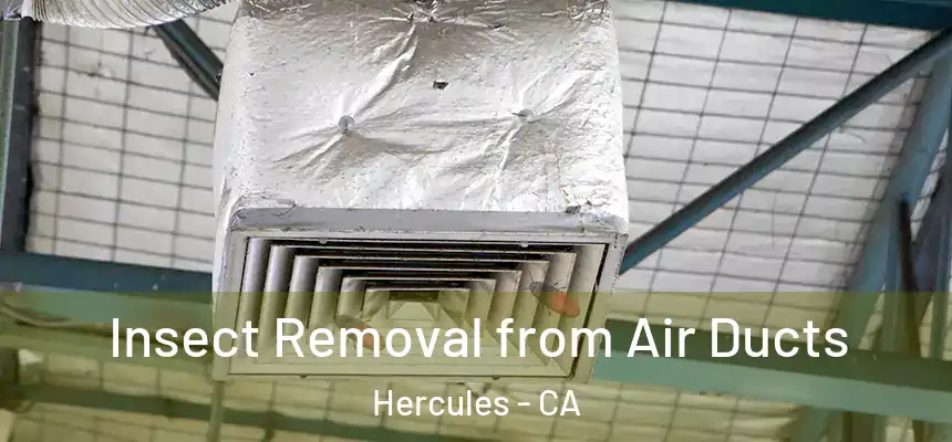 Insect Removal from Air Ducts Hercules - CA