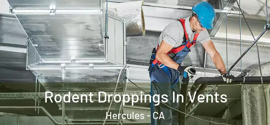Rodent Droppings In Vents Hercules - CA