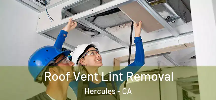 Roof Vent Lint Removal Hercules - CA