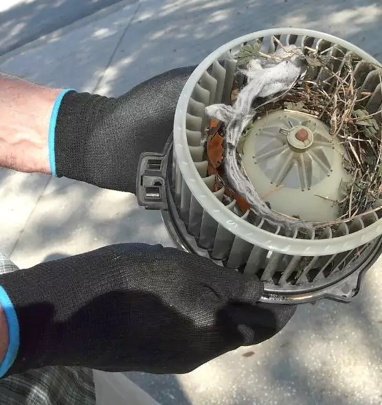 About Air Duct Mice Removal in Hercules, CA