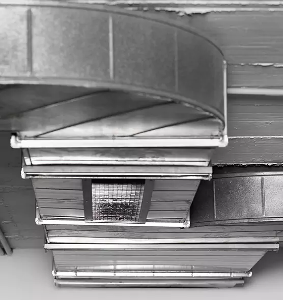 Professional Air Duct Pest Removal in Hercules, CA