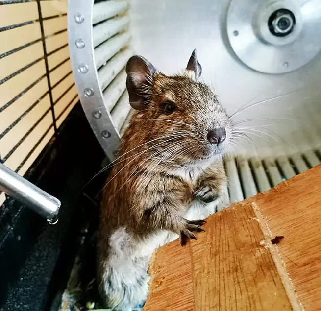 Why Homeowners & Businesses Trust Us Hercules, CA