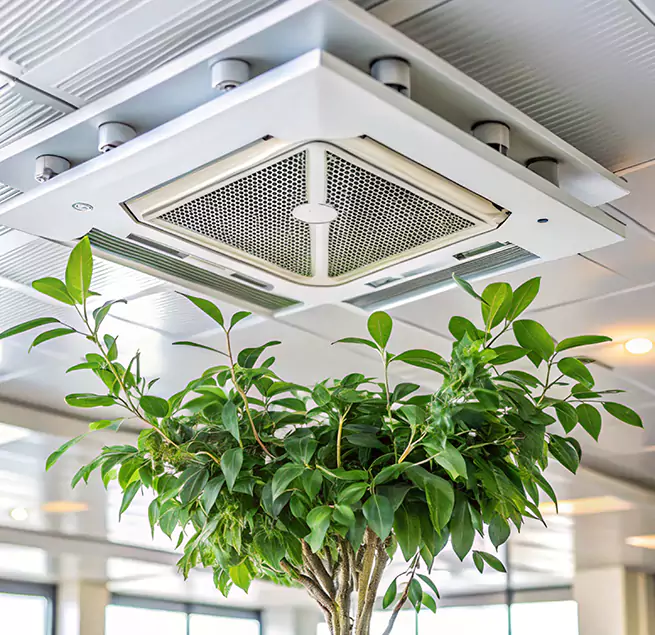 Why Homeowners & Businesses Trust Us in Hercules, CA?