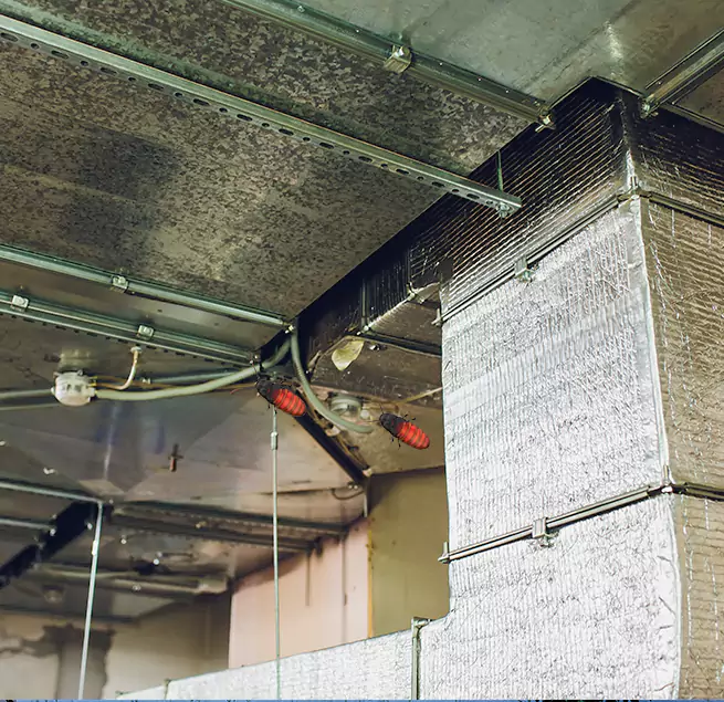 Why Homeowners & Businesses Trust Us Hercules, CA?