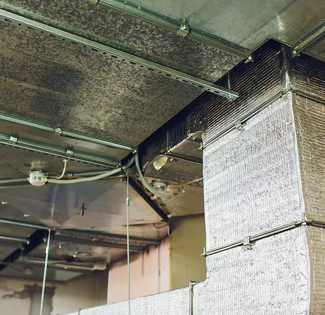 Why Homeowners & Businesses Trust Us in Hercules, CA?