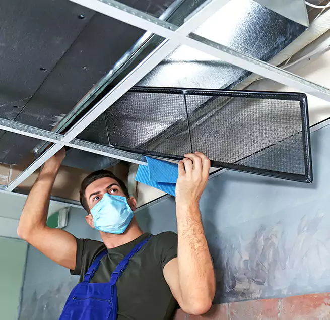 Why Homeowners Businesses Trust Us in Hercules, CA